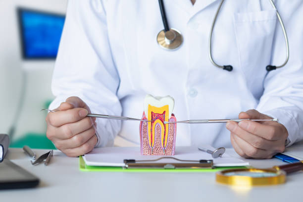 Best Emergency Wisdom Teeth Removal in Swannanoa, NC
